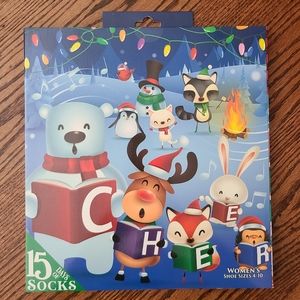 👀50% OFF👀🧦NWT‼️HYP Christmas Cheer themed 15 Days of Socks Advent Calendar